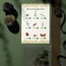 Bug Scavenger Hunt Printable | Nature Activity for Kids (2 Pages) - Etsy