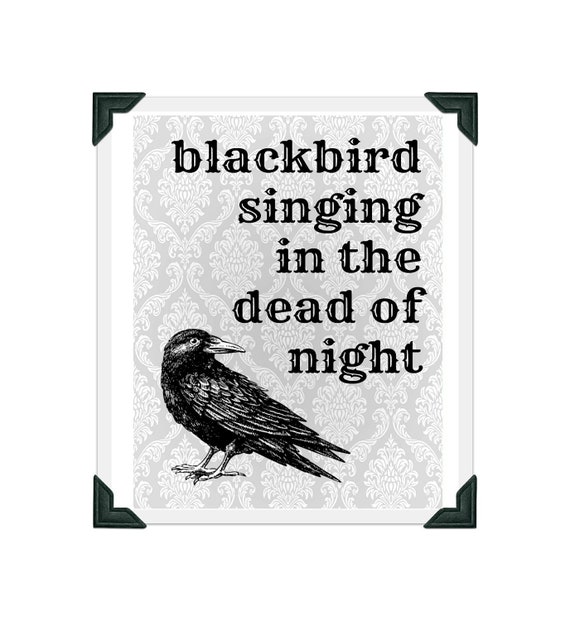 Items similar to Blackbird Singing in the Dead of Night Lyrics