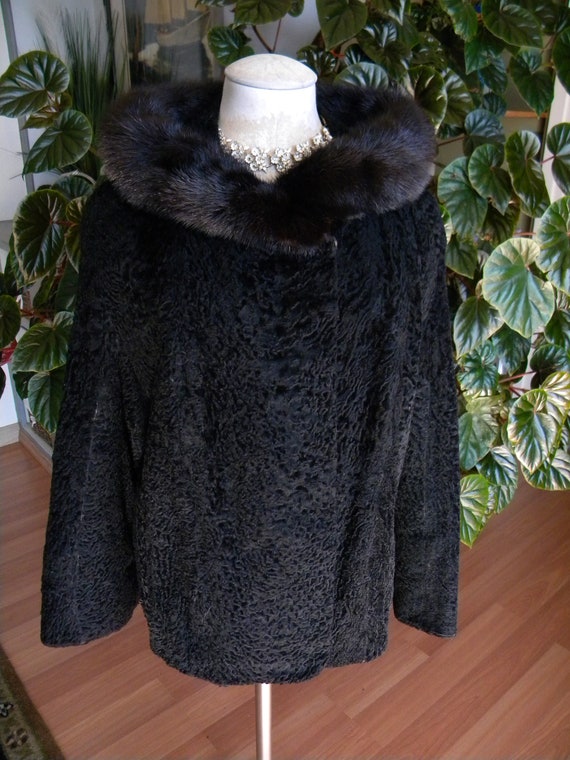 broadtail coat