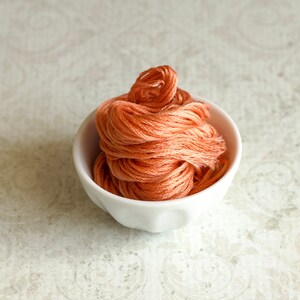 CANDIED YAMS Classic Colorworks hand-dyed embroidery floss cross stitch thread at cottageneedle.com