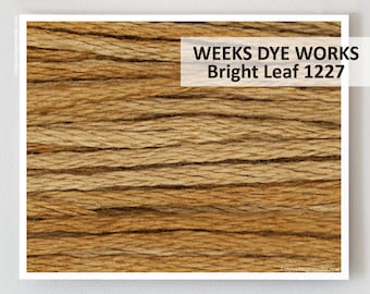 BRIGHT LEAF 1227 Weeks Dye Works WDW hand-dyed embroidery floss cross stitch thread at thecottageneedle.com