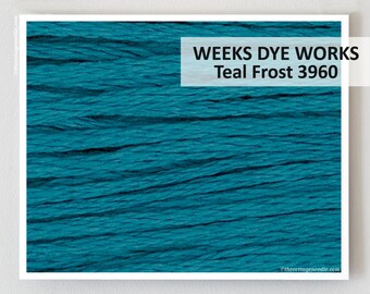 TEAL FROST 3960 Weeks Dye Works WDW hand-dyed embroidery floss cross stitch thread