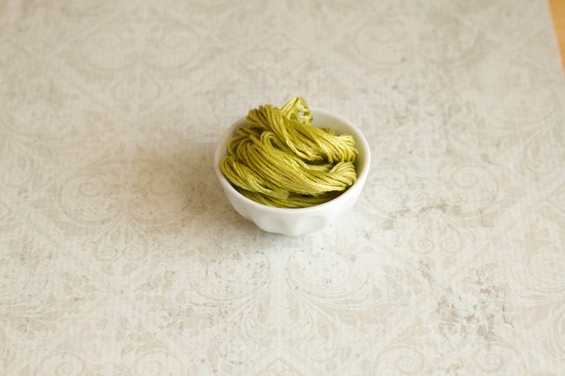 FROG LEGS Classic Colorworks hand-dyed embroidery floss cross stitch thread at thecottageneedle.com