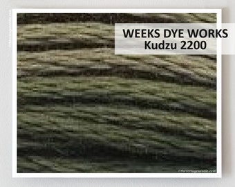 KUDZU 2200 Weeks Dye Works WDW hand-dyed embroidery floss cross stitch thread at thecottageneedle.com