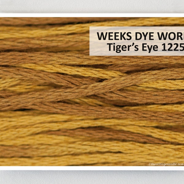 TIGER'S EYE 1225 Weeks Dye Works WDW hand-dyed embroidery floss cross stitch thread at thecottageneedle.com