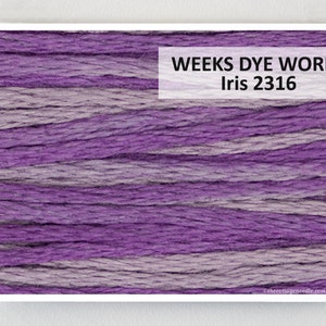 Op de afbeelding: Close-up van een klosje Weeks Dye Works Iris borduurgaren in kleur 2316. Het garen is een gevarieerd paars en wit.