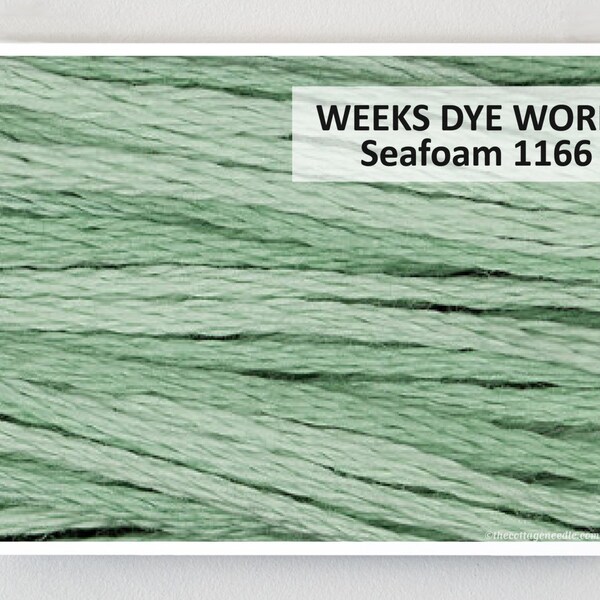 SEA FOAM 1166 Weeks Dye Works WDW hand-dyed embroidery floss cross stitch thread at thecottageneedle.com    seafoam