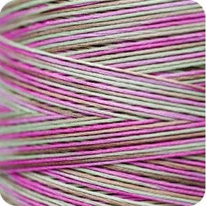 SPUMONI 4147 Weeks Dye Works WDW hand-dyed embroidery floss cross stitch thread at cottageneedle.com variegated
