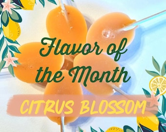 Cucharas para mezclar té de temporada, sabores únicos, temática del mes, juego de 5 o 10