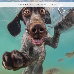 May include: A brown and white spotted dog swimming underwater with its mouth open and eyes wide. The dog is reaching forward with its front paws toward the camera lens. The text INSTANT DOWNLOAD is visible at the top of the image.