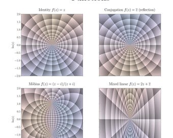 Poster complexe analyse: analytische en niet-analytische functies (digitale download)