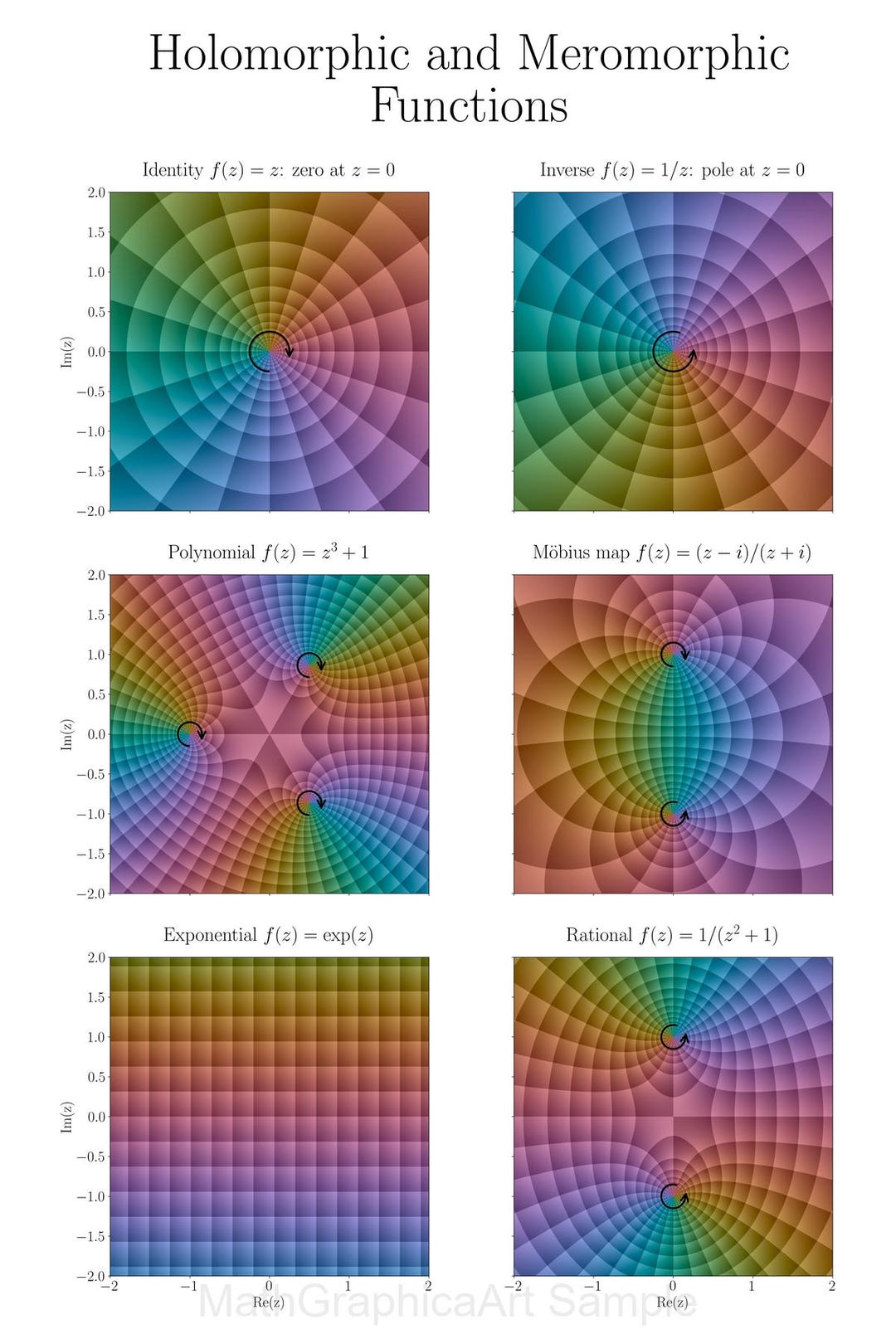 Complex Analysis Poster: Holomorphic & Meromorphic Functions (digital ...
