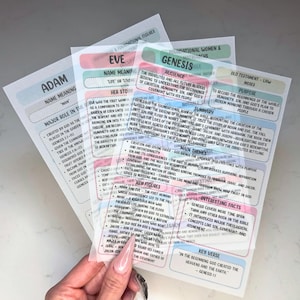 May include: A set of translucent study sheets featuring biblical information about Adam, Eve, and the Book of Genesis. Each sheet includes sections for name meanings, major roles, summaries, main themes, key figures, and interesting facts.