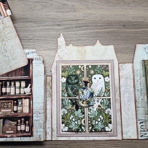 May include: A multi-panel paper craft display featuring a bookshelf illustration with glass vials and books, a central window scene with a dark and a white owl, and a side panel with a green book cover and a vertical moon phase graphic design.