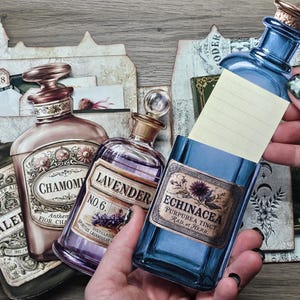 May include: A collection of four decorative paper apothecary bottle cutouts featuring labels for Valerian, Chamomile, Lavender, and Echinacea. The blue Echinacea bottle functions as a notepad holder with a blank yellow paper insert tucked inside.