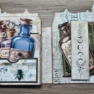 May include: A decorative paper craft folder featuring vintage apothecary bottle illustrations, including a blue bottle labeled Echinacea. The design incorporates a bee graphic, moon phase symbols, and botanical line art on a textured, aged paper background.