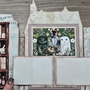 May include: A decorative paper craft display featuring a bookshelf illustration on the left with various bottles and books, and a central panel showing two owls flanking a glass bottle with a floral design, set against a light-colored background.