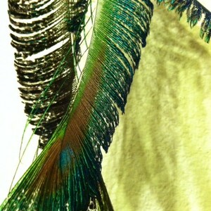 Long Peacock spear feather earrings