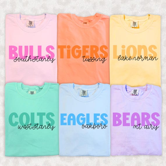 Custom School Mascot Shirt, Personalized School Spirit Tee, Teacher Shirt, PTO Shirt, School Colors Shirt, Mascot Tee