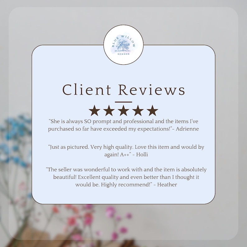Pu&ograve; includere: Uno sfondo azzurro presenta un rettangolo bianco arrotondato con il testo "Recensioni dei clienti" e cinque stelle d'oro. Sono incluse le testimonianze dei clienti, insieme al logo del negozio, un cerchio blu con un disegno di albero e le parole "Blue Willow Season".
