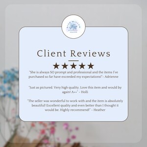 May include: A light blue rectangular graphic featuring the text Client Reviews, five brown stars, and three customer testimonials. At the top, a circular logo displays the text Blue Willow Season with a tree illustration. The background is light blue.