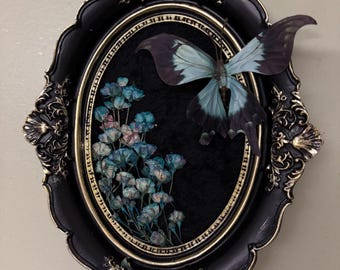 May include: An oval-shaped, ornate black frame with gold trim. Inside, a black background features a butterfly with blue and black wings and delicate blue flowers. The frame is a decorative wall hanging.