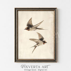 Rustikale Schwalbe Kunstdruck, Antike Vogel Illustration, Französische Land Wanddekoration, Printable Digital Download