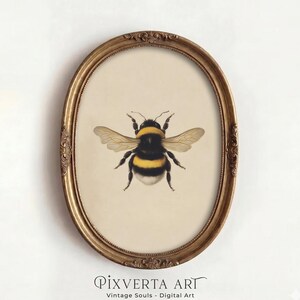May include: An oval-shaped, ornate antique gold frame containing a centred illustration of a bumblebee with black and yellow stripes and translucent wings on a cream-coloured background. Below the frame, the text reads PIXVERTA ART Vintage Souls - Digital Art.