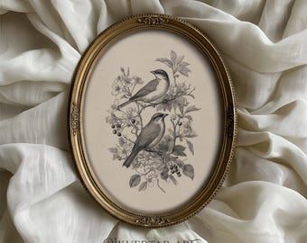 Impresión de pájaro vintage, arte mural botánico antiguo, decoración cottagecore francesa, descarga digital imprimible de pájaro