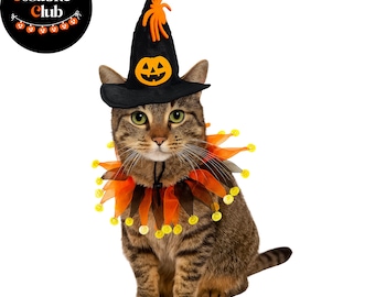 Disfraz de gato para Halloween, sombrero de bruja y collar brillante