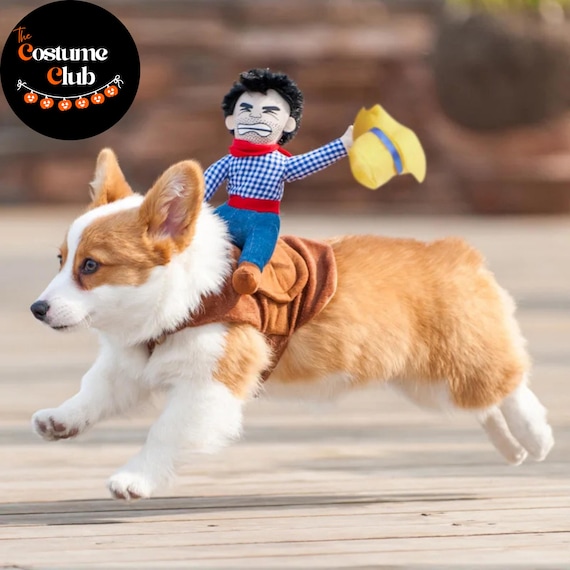 Funny Cowboy Rider Dog Costume: Rodeo Pet Halloween Outfit