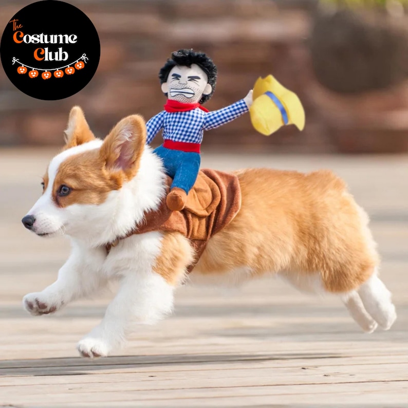 May include: A corgi dog wearing a brown saddle costume with a cowboy doll rider. The cowboy doll is wearing a blue plaid shirt, blue jeans, and a yellow hat. The dog is running on a wooden surface. The Costume Club logo is in the top left corner.