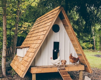 May include: A-frame chicken coop with a wooden shingle roof and white siding. The coop has a small door and a round window. Several chickens are in front of the coop, with a wooden ladder leading up to the entrance. The coop is set in a wooded area.