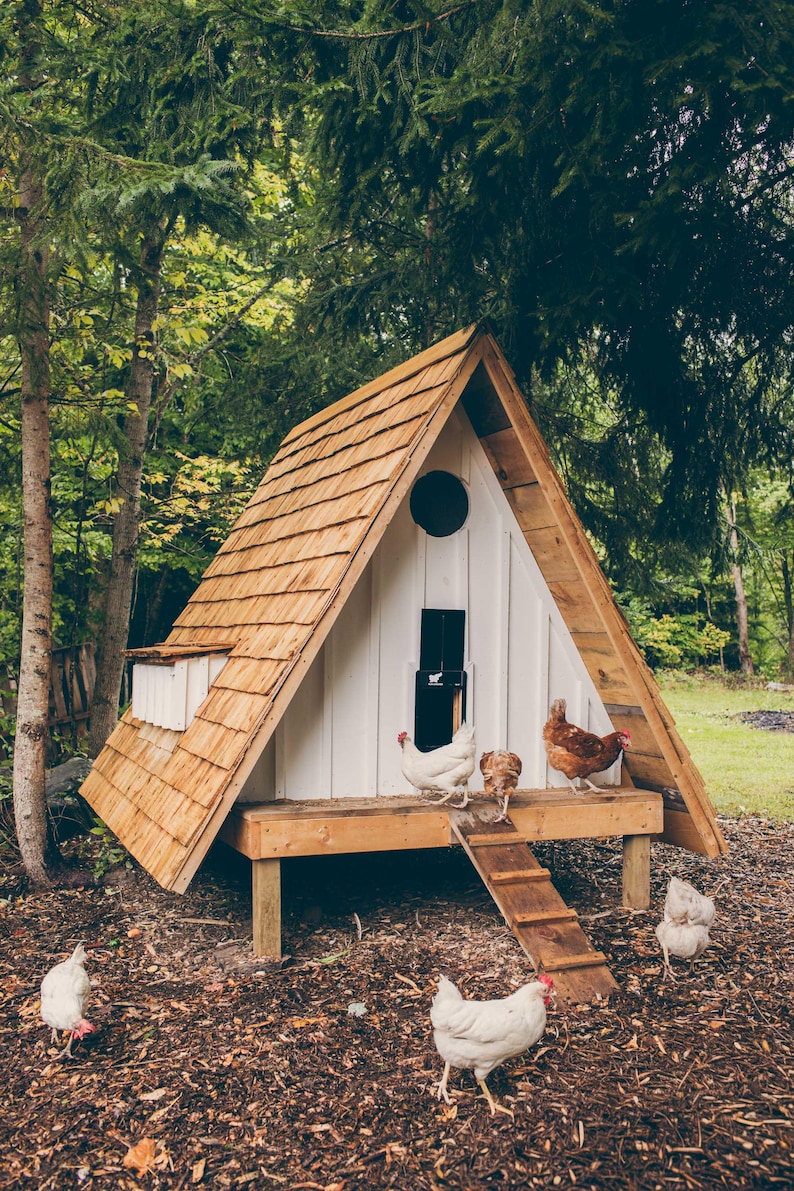 A Frame Chicken Coop Building Plans