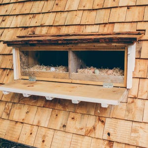 May include: A wooden chicken coop with a shingled roof and a nesting box. The nesting box has two compartments filled with hay and several eggs. The coop is made of light brown wood and has a hinged door.