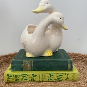 May include: A cream-coloured ceramic duck planter featuring two duck heads, yellow beaks, and yellow feet. The planter rests on two vintage books with green and yellow covers. The books are stacked on a woven tray.