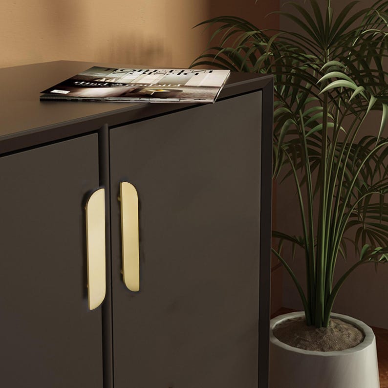 May include: A dark grey cabinet with two gold-coloured, vertical handles. A magazine rests on top of the cabinet. A potted plant with long green leaves is to the right of the cabinet.