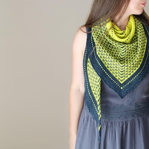 May include: A knitted shawl in shades of navy blue and chartreuse. The shawl features a geometric pattern and a contrasting border. The chartreuse section is a bright, eye-catching color. The shawl is draped over the shoulders.