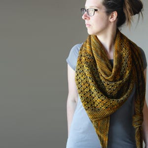 Può includere: Uno scialle fatto a mano nei toni dell'oro, del marrone e del verde. Lo scialle presenta un delicato motivo traforato ed è drappeggiato sulle spalle. L'accessorio in maglia è di forma triangolare e ha un'estremità annodata.