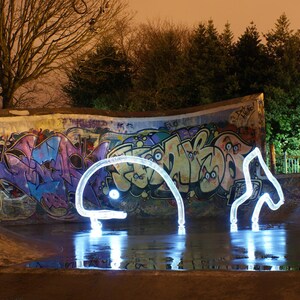 There&#39;s A Whale - Light Graffiti Canvas Print - Ltd Edition of 25 -  Long Exposure, Light Art, Photography. Vibrant, Lighting, Sea. Fish