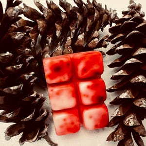 May include: A red and white wax melt bar with a marbled design, surrounded by several brown pine cones. The wax melt is composed of six cubes. The pine cones are dark brown with white accents.