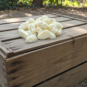 The Fragrant Dead | Pumpkin Caramel Crunch Skull Wax Melts: Halloween Scent