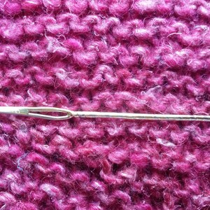 Sock Eyed Yarn Sewing Needle Think feet not fish image 1