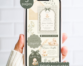 Sage Green Gingham Goose Baby Shower Invitation With Trackable RSVP | Boy Mother Goose  Invite | Editable Silly Goose WEBSITE Canva Template