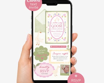 Digital Colorful Silly Goose Baby Shower Invitation with RSVP & Registry Links, Pink Coquette Canva Template Text Invite