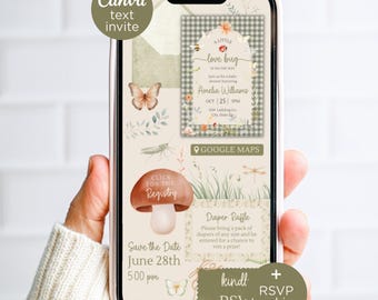 Love Bug Baby Shower Invitation for Text, Editable Green Gingham Whimsical Canva Website Invite, with Registry & RSVP links