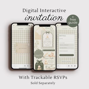 Editable Silly Goose Invite | Sage Green Gingham Baby Shower Invitation | Mother Goose | Gender Neutral | Canva Template Digital Download image 9