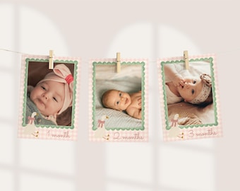 One Silly Goose Photo Banner | Girl Ist Birthday Photo Milestone | Pink Silly Goose Editable Canva Template | W6B5