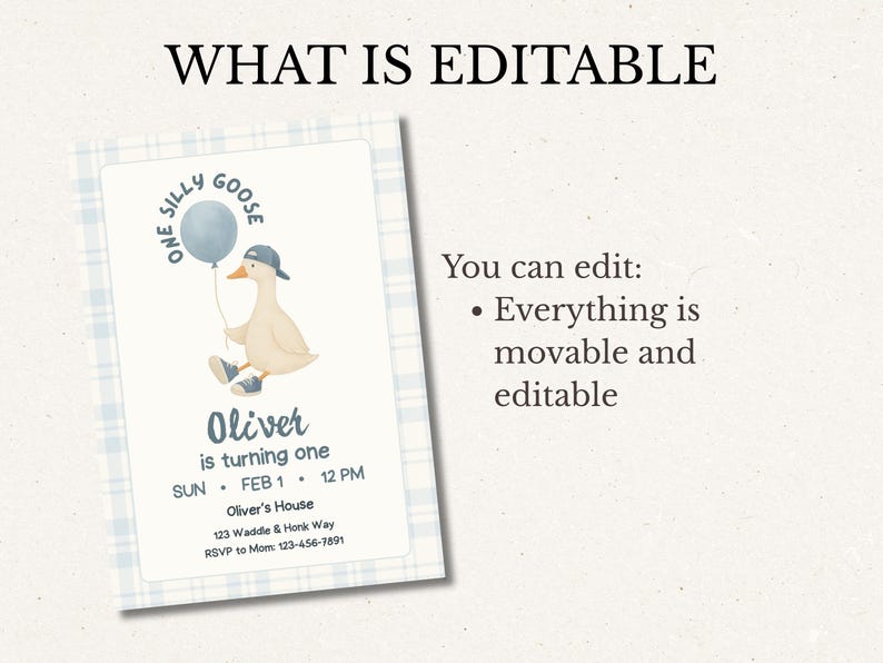 Op de afbeelding: Blauwe en witte uitnodigingskaart met een cartoon gans die een ballon vasthoudt. De tekst luidt "One Silly Goose" en "Oliver is turning one". De kaart bevat datum, tijd en locatie. De tekst "What is Editable" staat bovenaan.