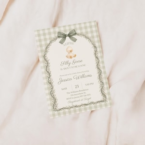 May include: A baby shower invitation with a light green gingham border and a decorative floral frame. The invitation features the text "A Little Silly Goose is About to be Loose" and event details.